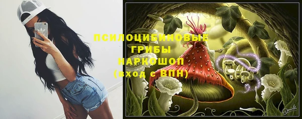 МДПВ Алексин