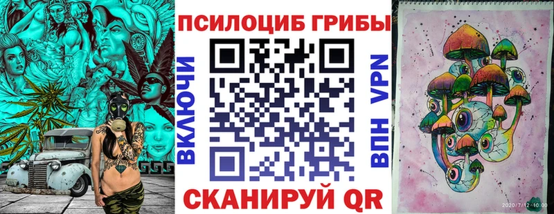 Псилоцибиновые грибы Psilocybe  Новоалександровск 