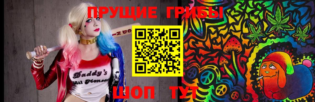 Галлюциногенные грибы Cubensis Новоалександровск